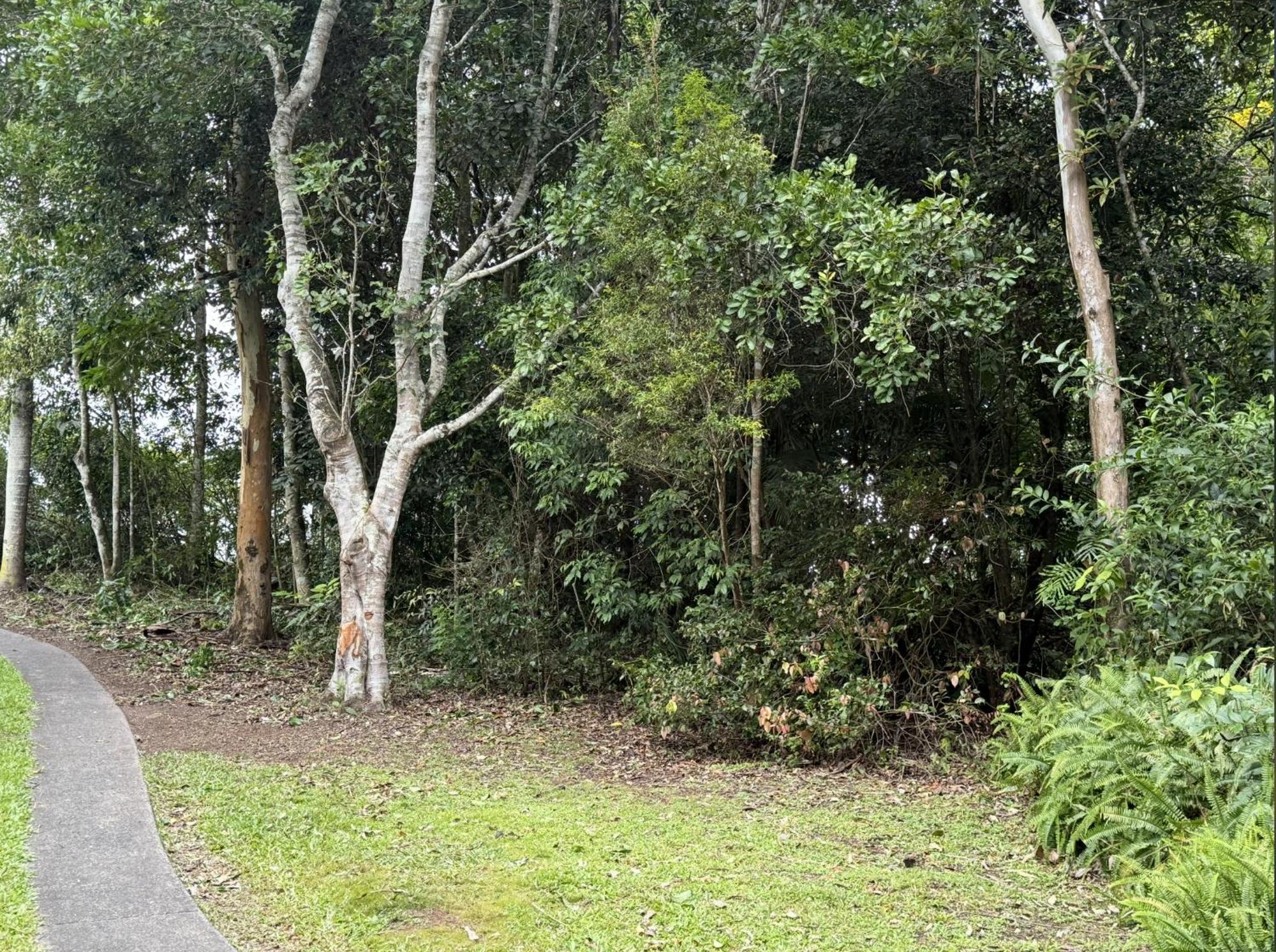 Atherton Blue Gum Exterior foto